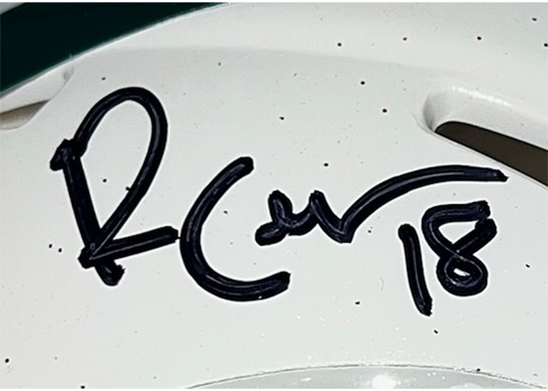 Randall Cobb Signed Green Bay Packers Alternate Mini Helmet JSA