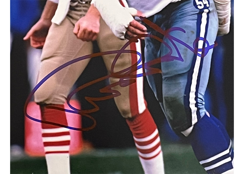 Randy White 8x10 Dallas Cowboys Signed Photo JSA