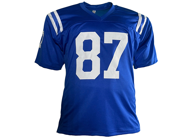 Reggie Wayne Signed Indianapolis Blue Football Jersey JSA