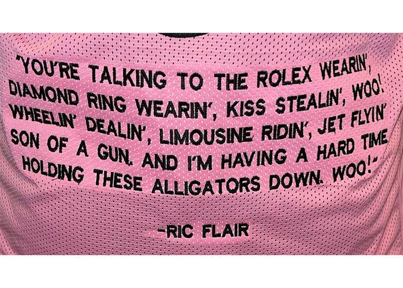 Ric Flair Signed Custom Pink Stats Jersey JSA