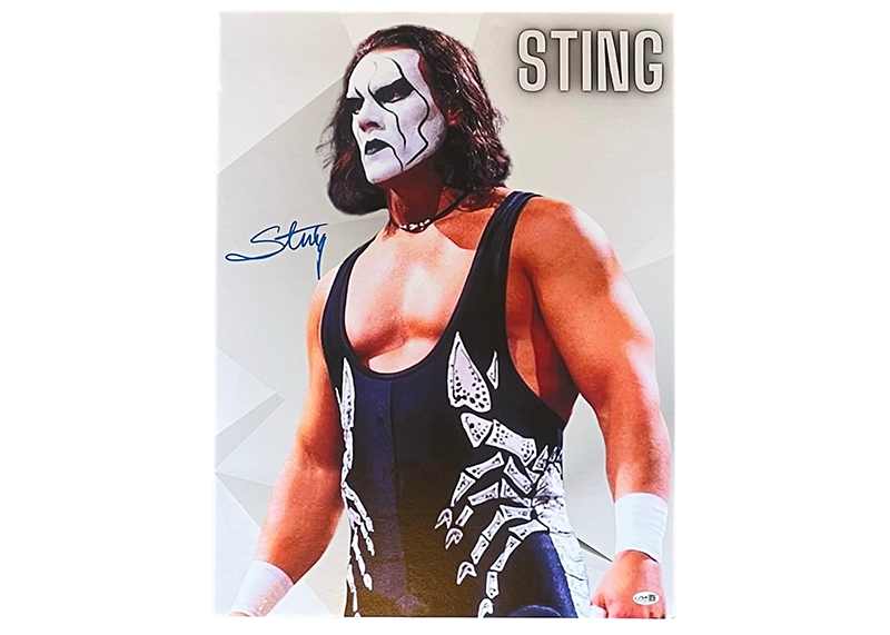 Sting Signed 18x24 Photo Board – Autographed JSA COA