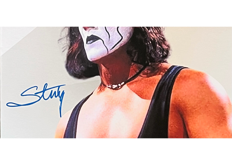 Sting Signed 18x24 Photo Board – Autographed JSA COA