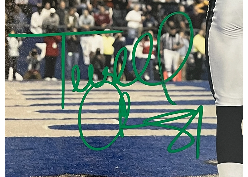 Terrell Owens Signed Philadelphia Eagles 11x14 Photo (JSA)