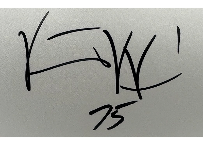 Vince Wilfork Signed New England Patriots Logo Football JSA