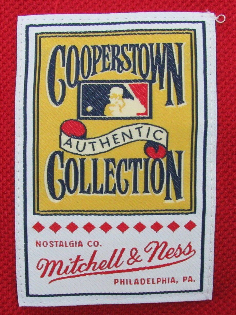 David Ortiz HOF Autographed Mitchell & Ness Jersey Red Sox Beckett 177075