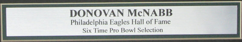 Donovan McNabb Eagles Signed/Autographed 11x14 Photo Framed JSA 146412