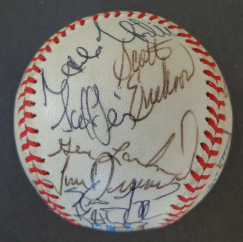 1990 Minnesota Twins Multi-Autographed by (27) OAL Baseball 155679