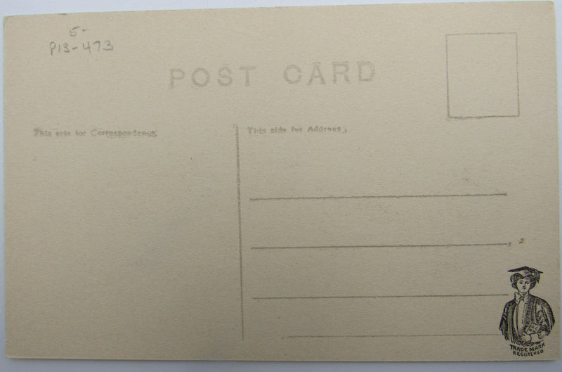 Archie Gunn, Bergman 1913 Unused Postcard, Woman Holding a Pennant