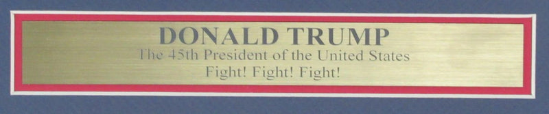 Donald Trump July 13, 2024 Butler, PA Photo Collage Framed 191297