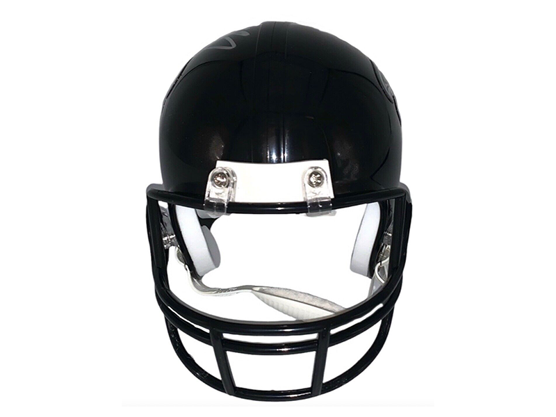 Michael Vick Atlanta Falcons autographed Replica Mini Helmet (JSA)