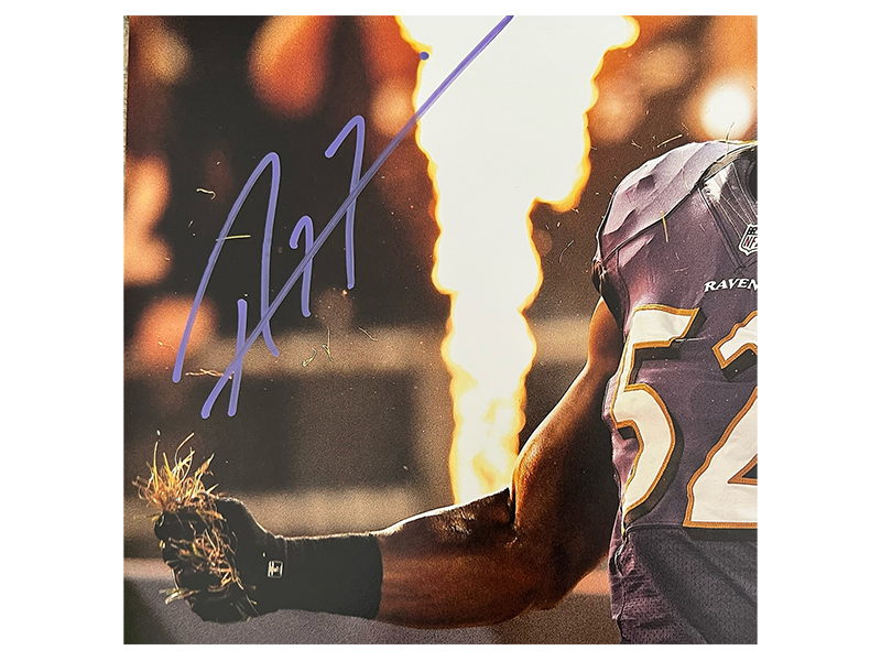 Ray Lewis Autographed Baltimore Ravens 11x14 Photo JSA