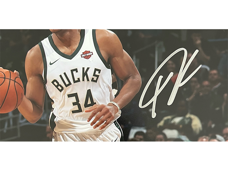 Giannis Antetokounmpo Milwaukee Bucks Autographed 11x14 Photo JSA