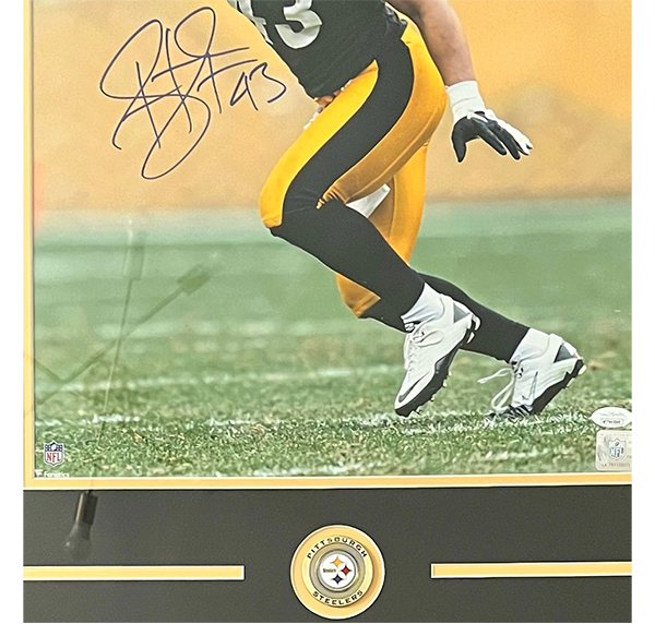 Troy Polamalu #43 Pittsburgh Steelers Autographed 16x20 Photo Framed JSA